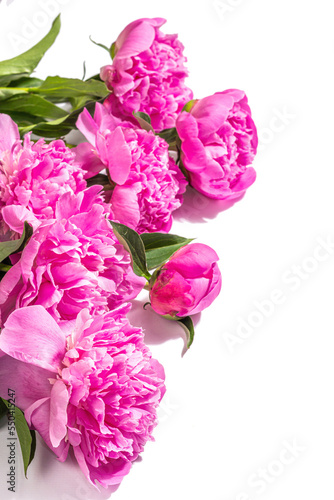 Fragrant pink peonies bouquet isolated on white background. Summer card, seasonal design, festive concept