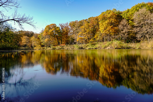 A group of trees in fall reflecting on a pond