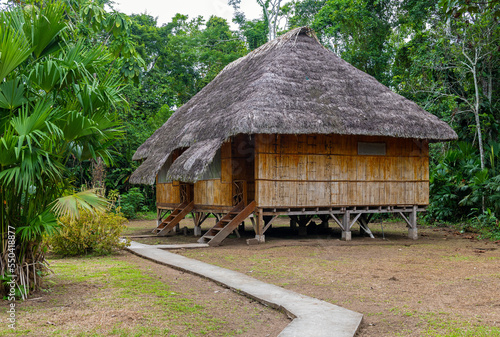 Traditional amazon rainforest housing in a kichwa indigenous community close to Yasuni national park, Ecuador.