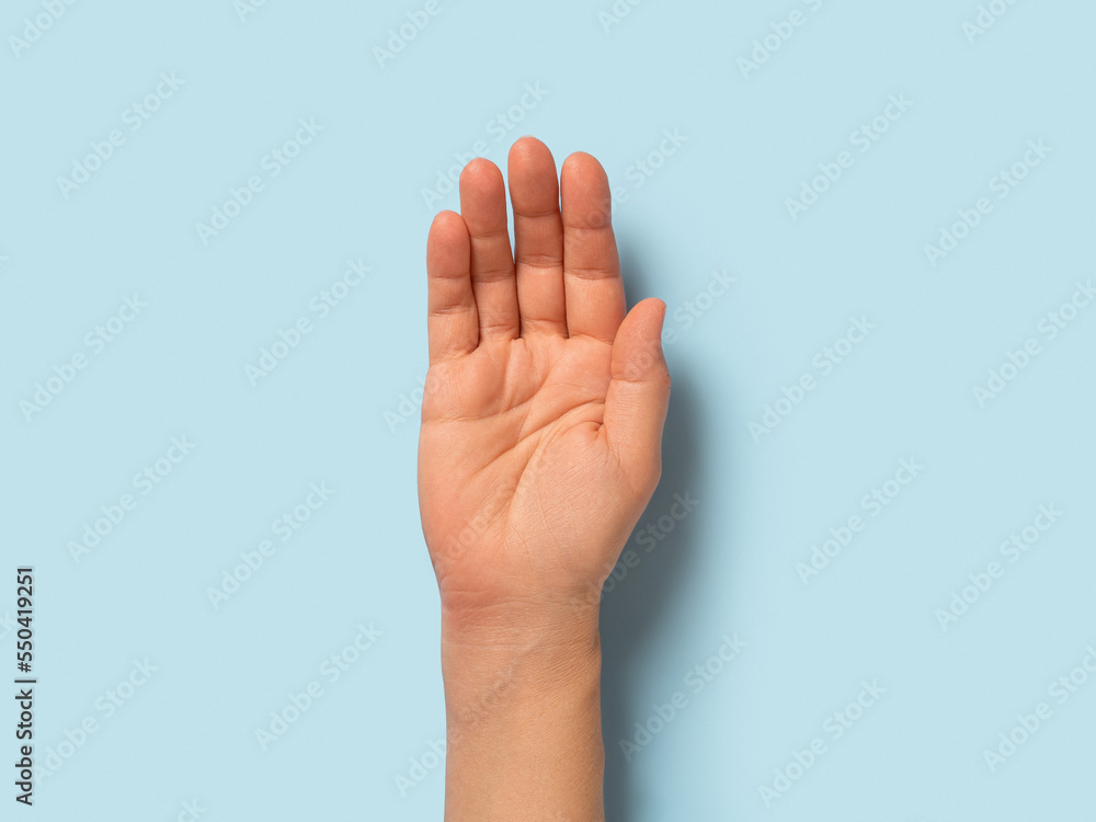 Empty hand palm of caucasian woman over pastel blue background. Open hand gesture close-up. Adult female person right hand macro. Body parts concept. Empty hand palm of caucasian woman over pastel blue background. Open hand gesture close-up. Adult female person right hand macro. Body parts concept.