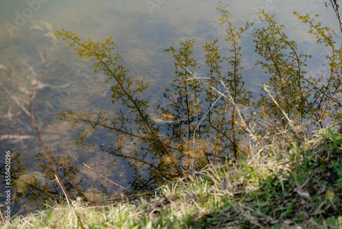 Photography Lake