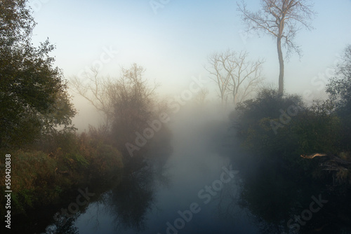 A creek at sunrise on a foggy morning