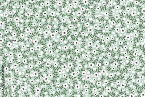 Spring bouquet. Floral seamless background for fancy prints. Elegant floral pattern of small white flowers. Liberty Style. Ditsy print. Vector texture. 