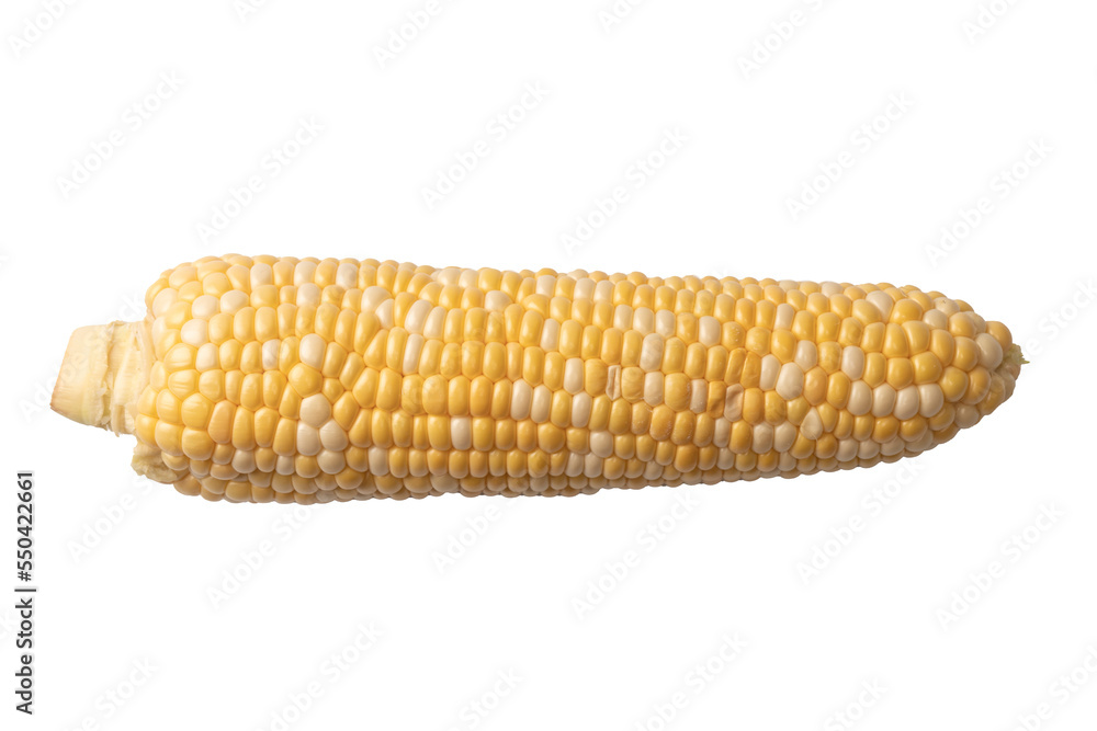 Yellow corn isolated on white background. Copyspace. Yellow corn isolated on white background. Copyspace.
