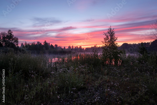 Magic colourful sunrise by the lake with morning fog. Silhouette of trees, meadow and water with colourful reflections. Beautiful dusk sky nature landscape in pastel colors.