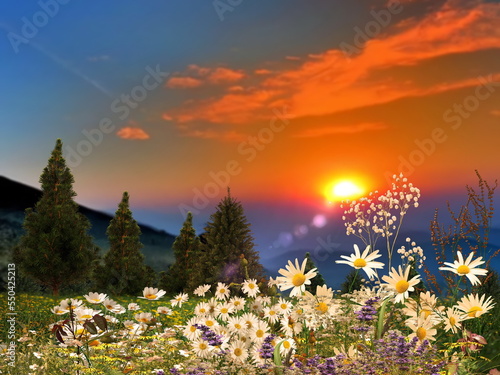  field with flowers on orange pink sunset nature landscape 