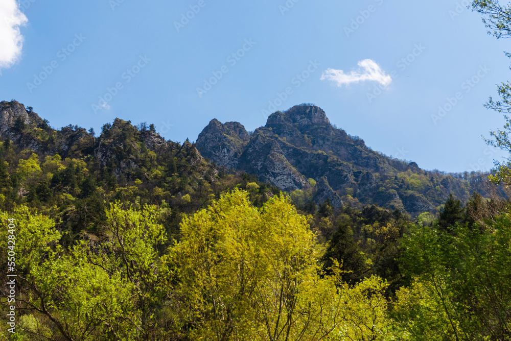 Sunny landscape with forest mountains at spring time, Armenia