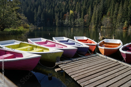 Wallpaper Mural Colored wooden boats tied to a pier on a lake surrounded by forest Torontodigital.ca