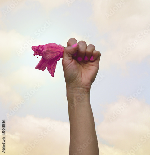 Female hand with fist raised up and holding a flower. A symbol of the feminist movement, struggle and resistance. Concept of International women feminism.