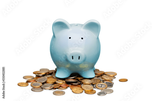 Piggy Bank on Coins