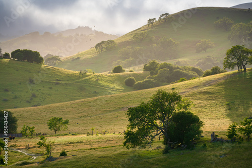 Soft afternoon light on the hills of Marin County, California.