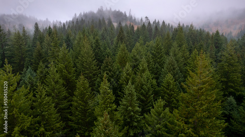 Near Hood River in the Columbia Gorge, Oregon.
