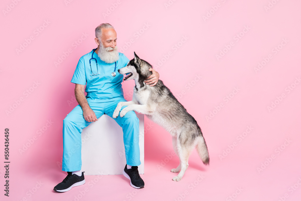 Full length photo of kind veterinarian pet fluffy alaskan malamut put paws on his knee isolated pastel color background Full length photo of kind veterinarian pet fluffy alaskan malamut put paws on his knee isolated pastel color background