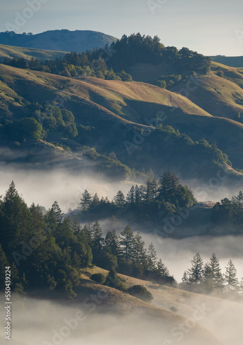 A blissful foggy morning in Marin County, California. photo