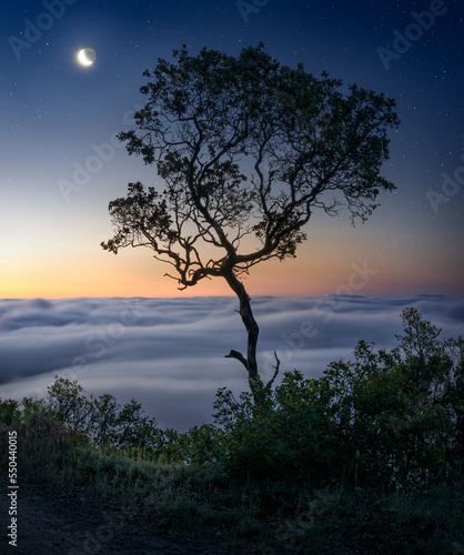 Marin County, California.