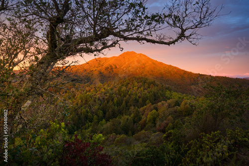 Colorful sunrise over Mt. Tamalpais, Marin County, CA. photo