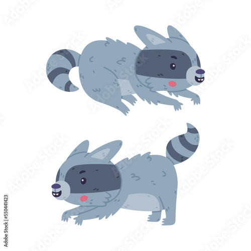 Funny Raccoon Animal Character with Striped Tail Sneaking Vector Set