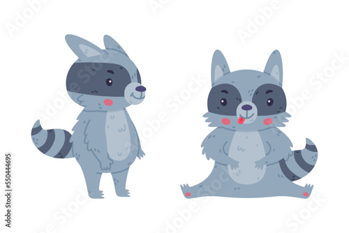 Funny Raccoon Animal Character with Striped Tail Standing and Sitting Vector Set