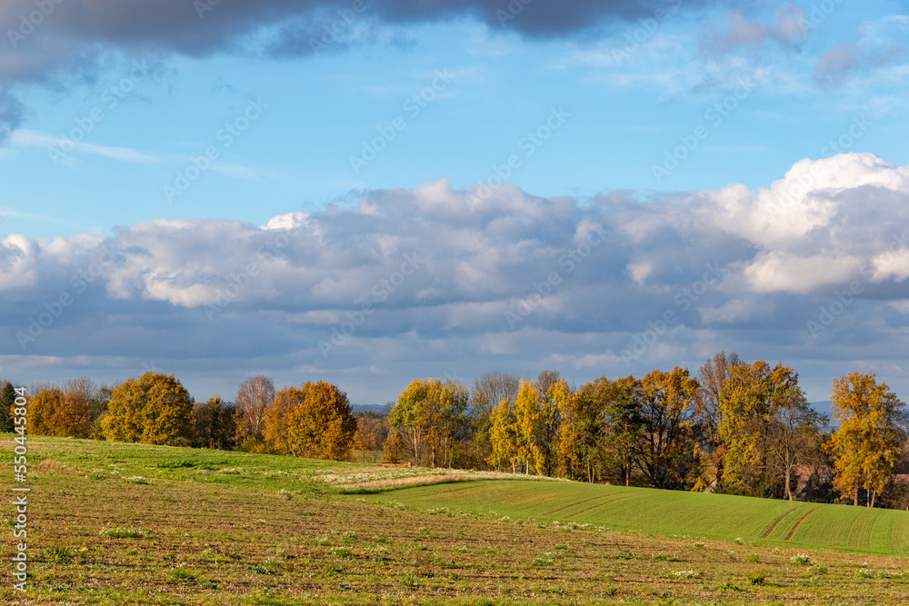 Sunny november day in the countryside. Autumn landscape.