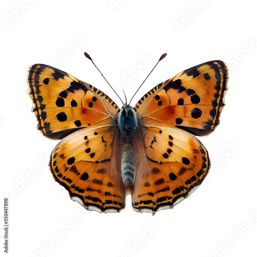 Beautiful colorful butterfly isolated on a transparent background. Generative AI