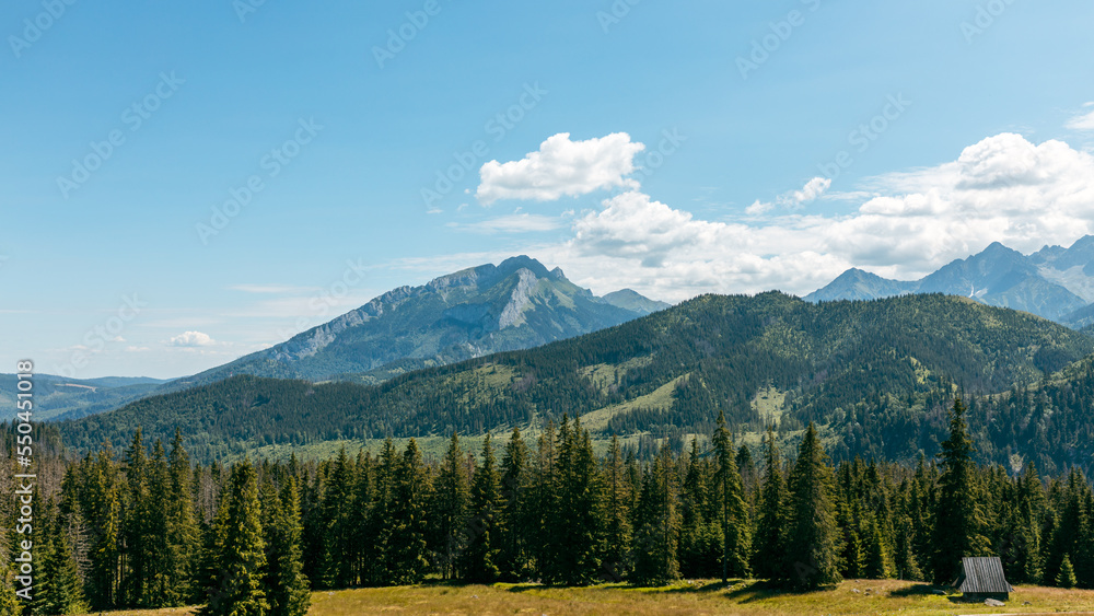 Panoramic view of Tatra Mountains. The valley in the Tatras near Zakopane. View of mountain peaks in summer time