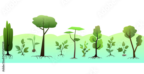 Seedlings of young trees with roots. Garden plants. Fruit plantings. Isolated on white background. Bottom horizontal composition border. Vector