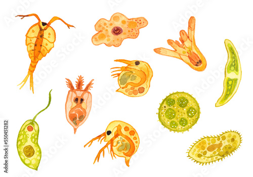Tableau sur toile 微生物の水彩イラスト