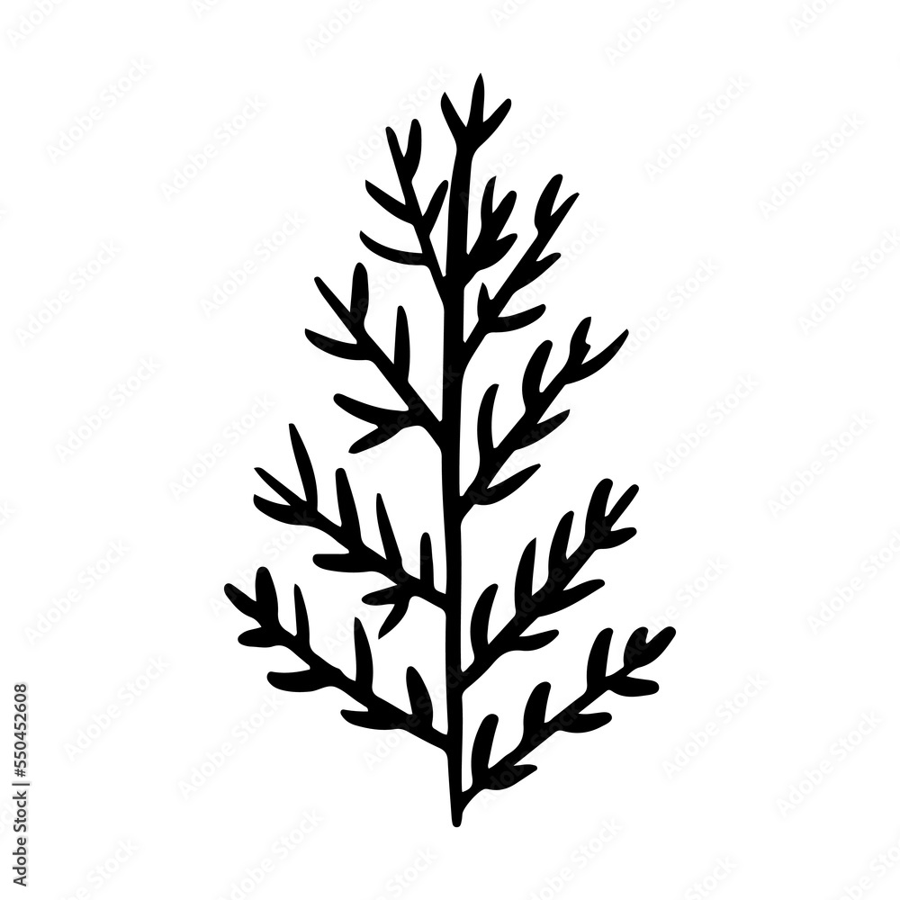 Christmas tree in doodle style. Hand drawn sketch of a Christmas tree. Vector illustration. Isolated on a white background. Illustration for graphics, website, logo, icons, postcards Christmas tree in doodle style. Hand drawn sketch of a Christmas tree. Vector illustration. Isolated on a white background. Illustration for graphics, website, logo, icons, postcards