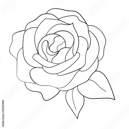 Black illustration grafic flowers rose one line.