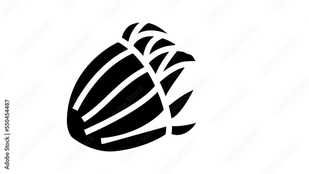 acorn autumn glyph icon animation acorn autumn glyph icon animation