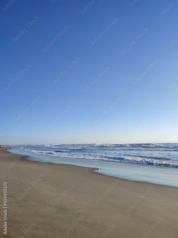 romantic seascape on shoreline at deserted sandy beach in front of azure water romantic seascape on shoreline at deserted sandy beach in front of azure water