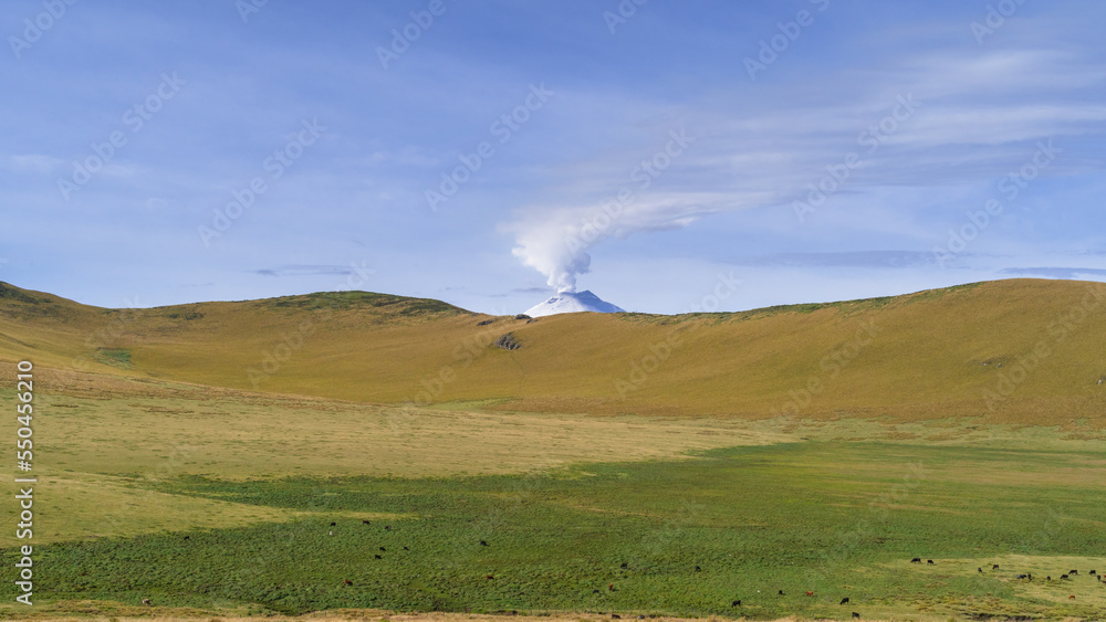 Scenic landscape with person watching, mountains, cotopaxi volcano activity, green meadows, national park