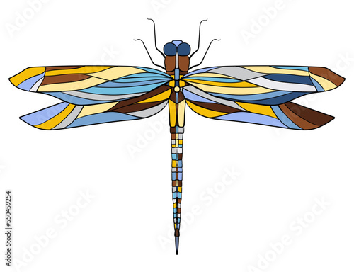 Image of dragonfly insect in vintage style, bright design element on white background