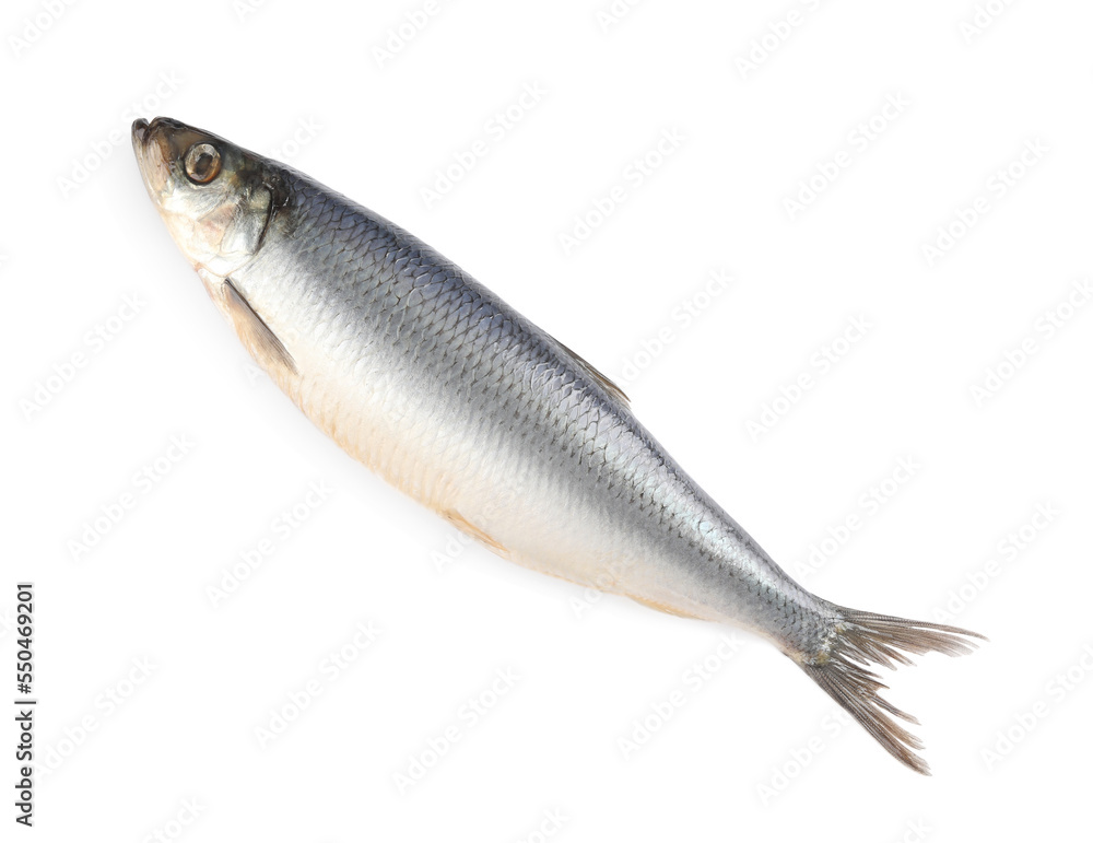 Whole delicious salted herring isolated on white, top view Whole delicious salted herring isolated on white, top view