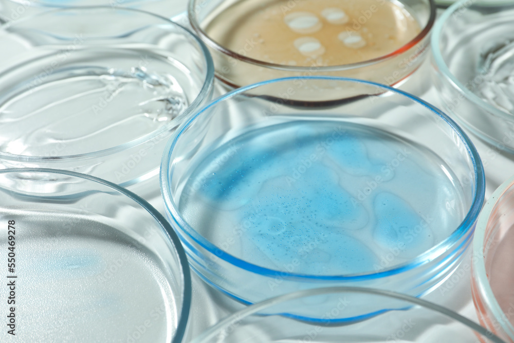 Petri dishes with liquids on white table, closeup Petri dishes with liquids on white table, closeup