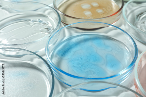 Petri dishes with liquids on white table, closeup