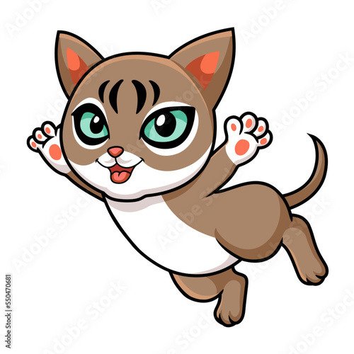 Cute singapura cat cartoon flying © frescostudio