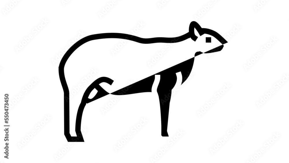 texel sheep line icon animation