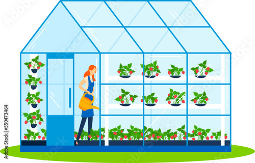 Garden plant in greenhouse, vector illustration. People cartoon character gardening at nature, man woman person have agriculture hobby.