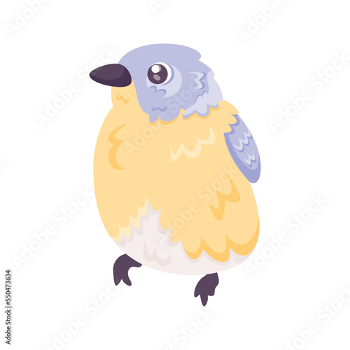 Isolated cute bird icon Animal Vector