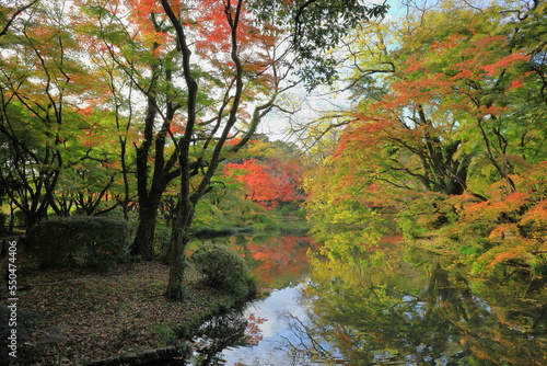 池面に映る紅葉