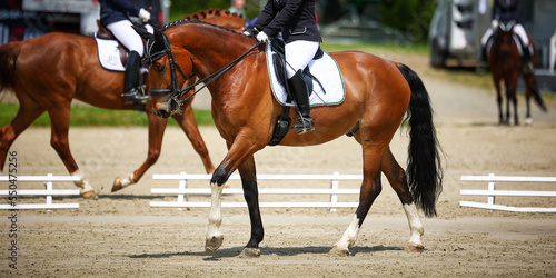 Dressage horse with rider walking with front leg raised, photographed from the side with two other horses out of focus in the background..