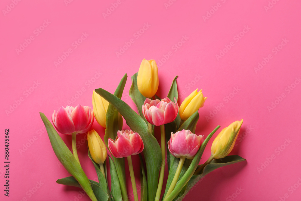 Many beautiful tulips on pink background, flat lay. Space for text Many beautiful tulips on pink background, flat lay. Space for text