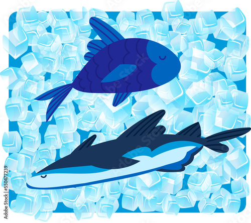 Seafood market, fresh seafood from ocean, vector illustration. Healthy fishing animal, delicious fish ingredient. Tasty gourmet cuisine product