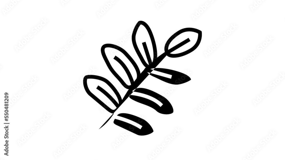 royal fern tropical leaf line icon animation royal fern tropical leaf line icon animation