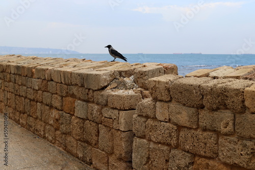 Stone wall of an ancient fortress on the seashore in Israel.