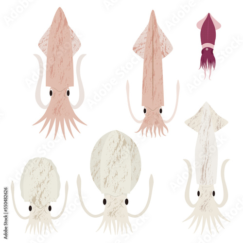 いかのイラストセット