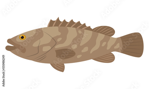 くえのイラスト