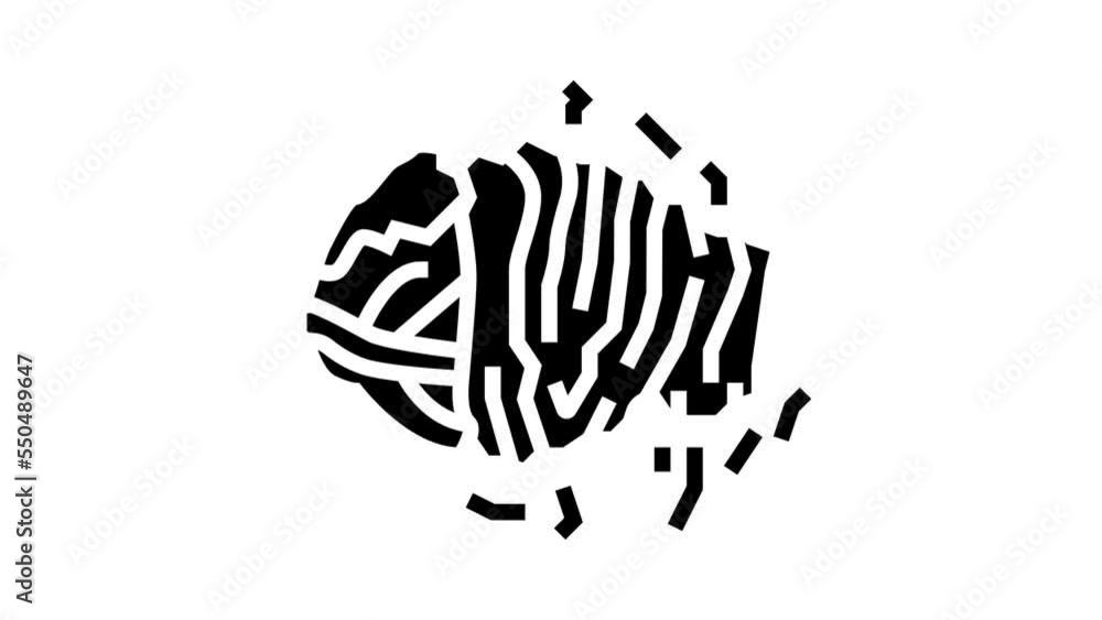 chopped cabbage line icon animation chopped cabbage line icon animation