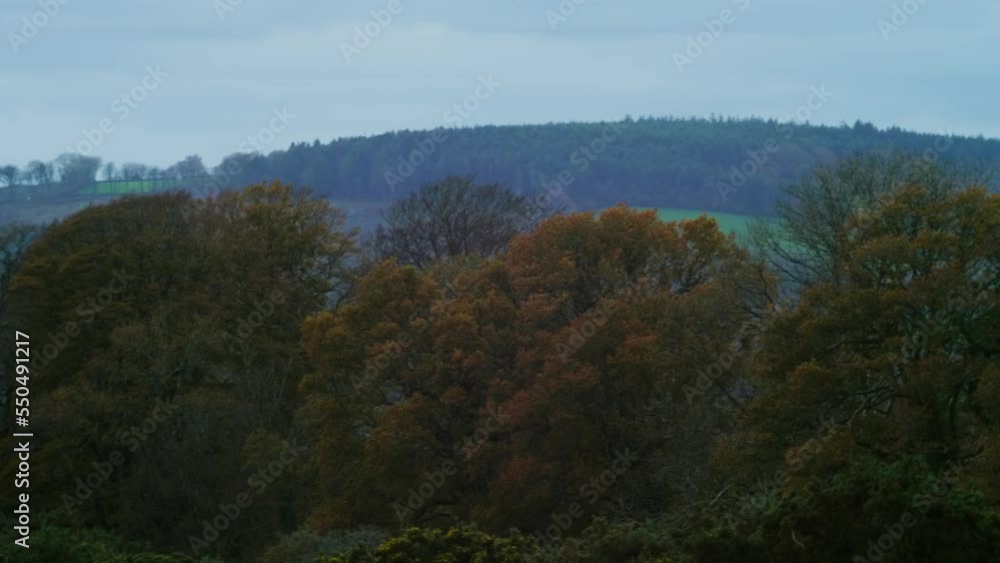 Slow panning shot of beautiful autumnal trees and rolling hills of the idyllic British countryside. Farmhouses and barns can be seen. Bird flies across shot at the end. 4K. Slow panning shot of beautiful autumnal trees and rolling hills of the idyllic British countryside. Farmhouses and barns can be seen. Bird flies across shot at the end. 4K.